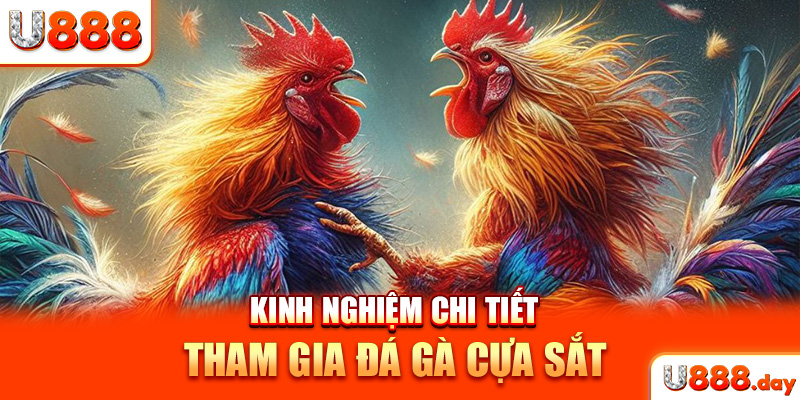 Kinh nghiệm chi tiết tham gia đá gà cựa sắt